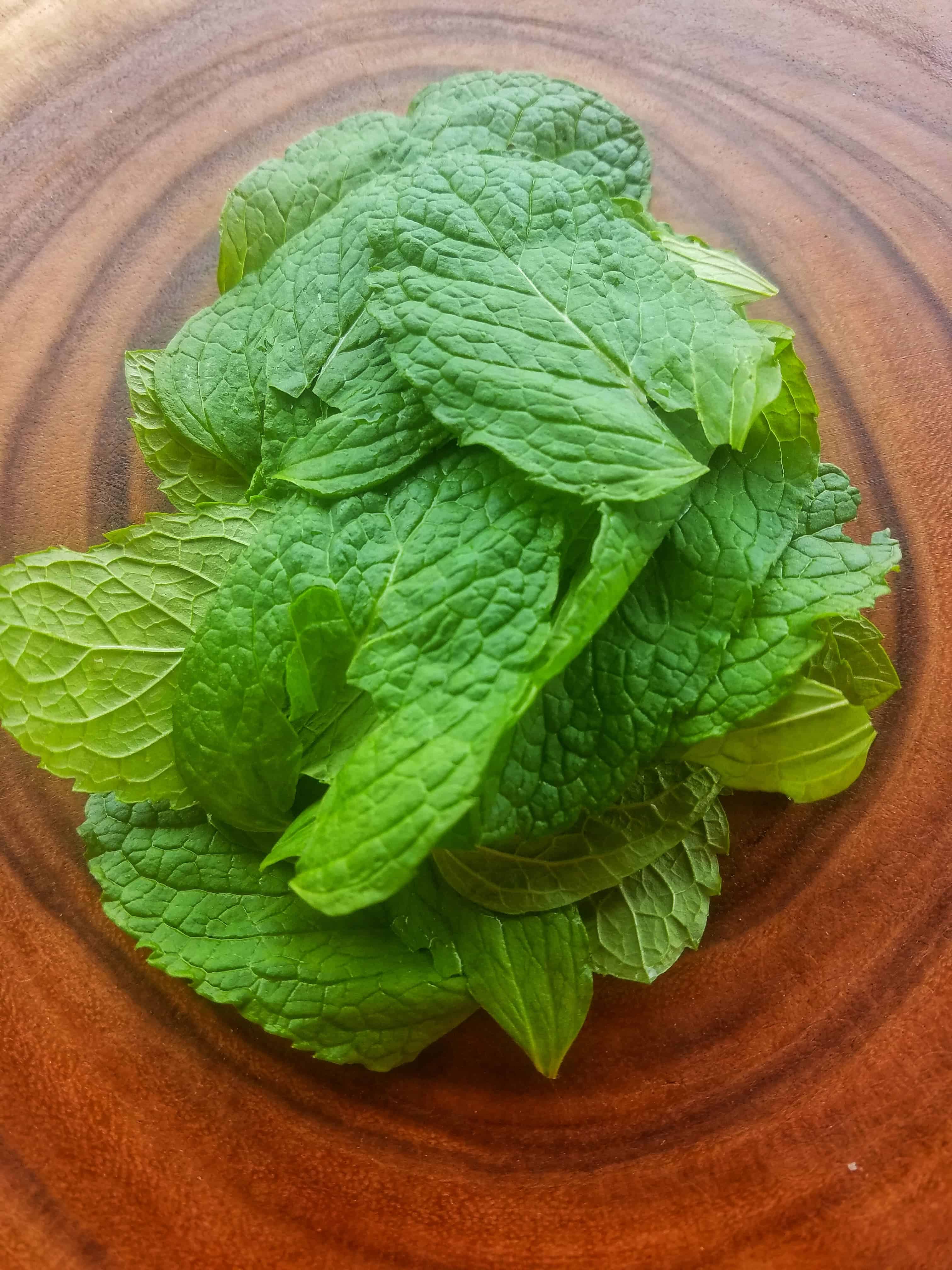 mint leaves in a pile on platter